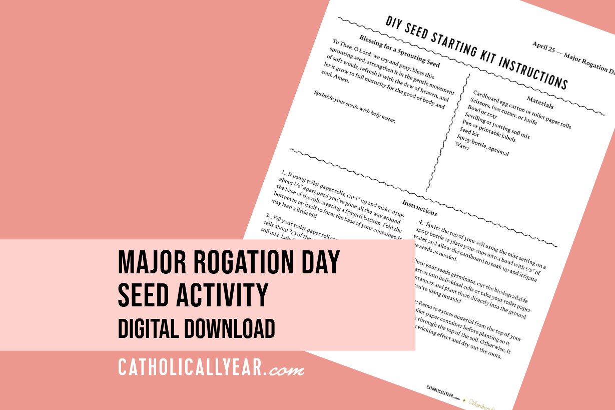 Major Rogation Day Seed Activity {Digital Download}