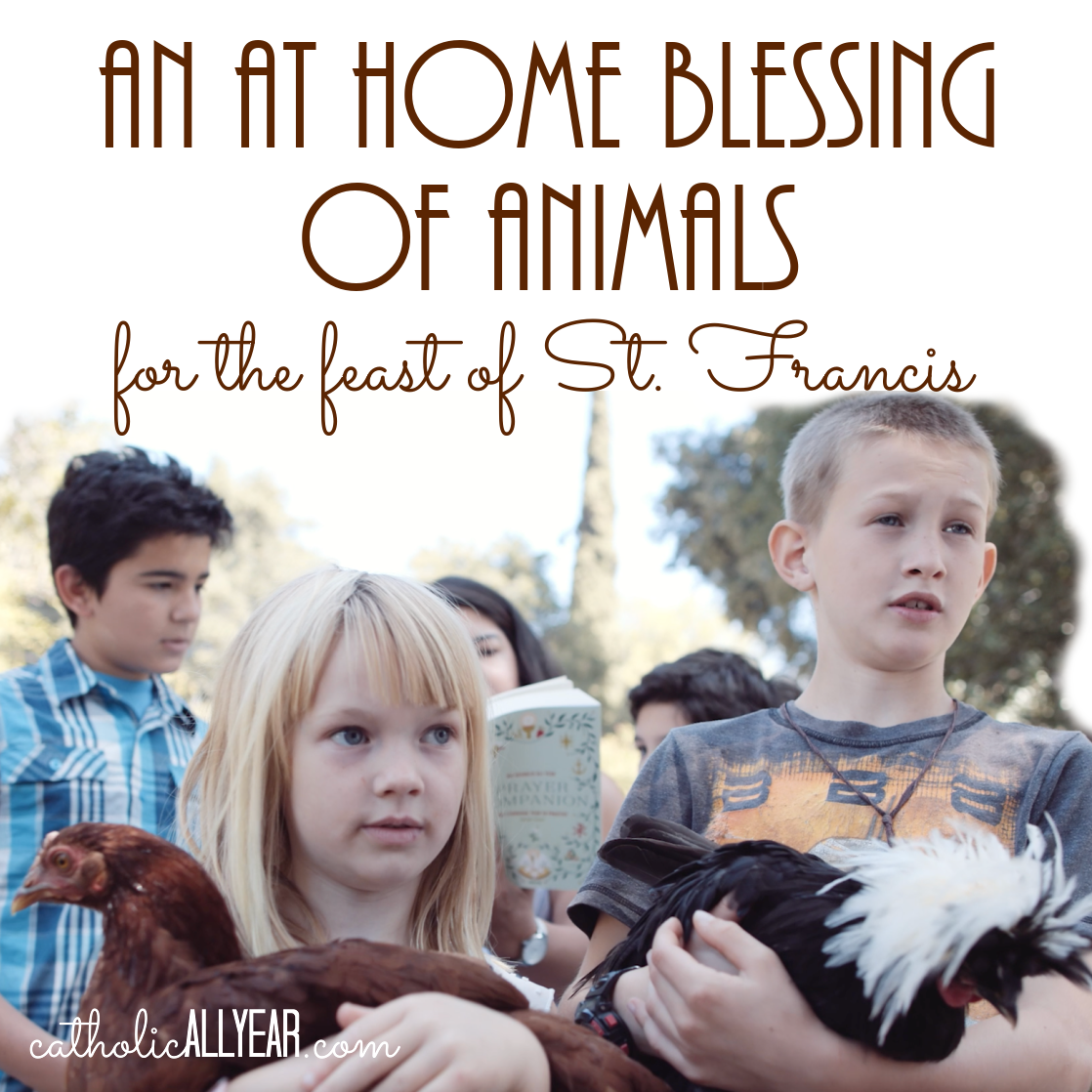 An At Home Blessing of Animals for the Feast of Saint Francis