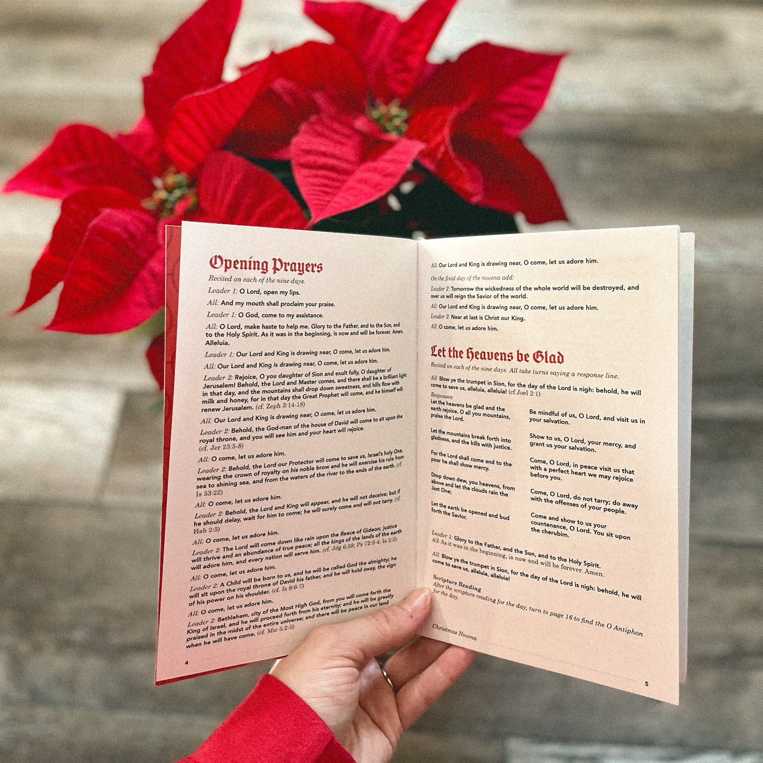 Christmas Novena Booklet Christmas Novena Booklet