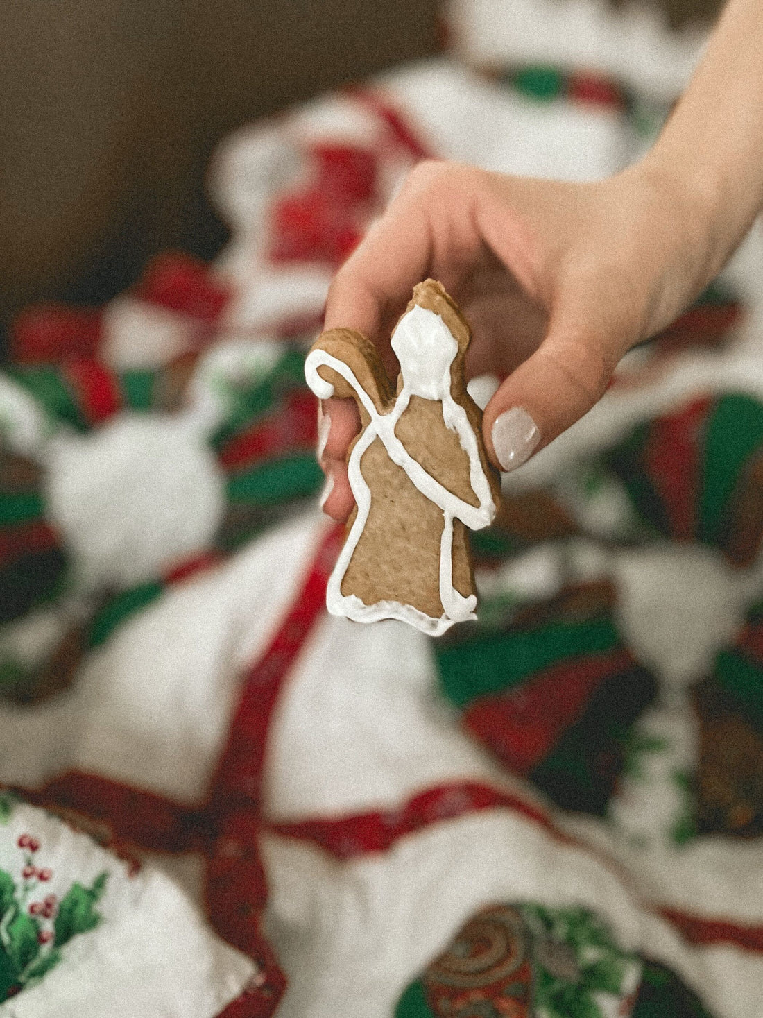 Speculaas Cookies - December 6 - St. Nicholas