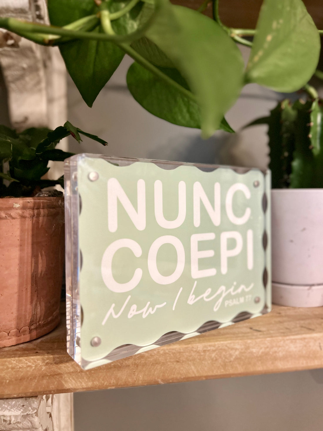 Nunc Coepi Acrylic Block Letter Art