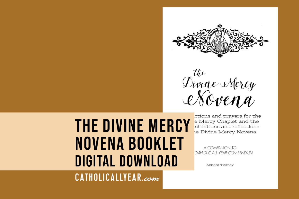 The Divine Mercy Novena Booklet {Digital Download}