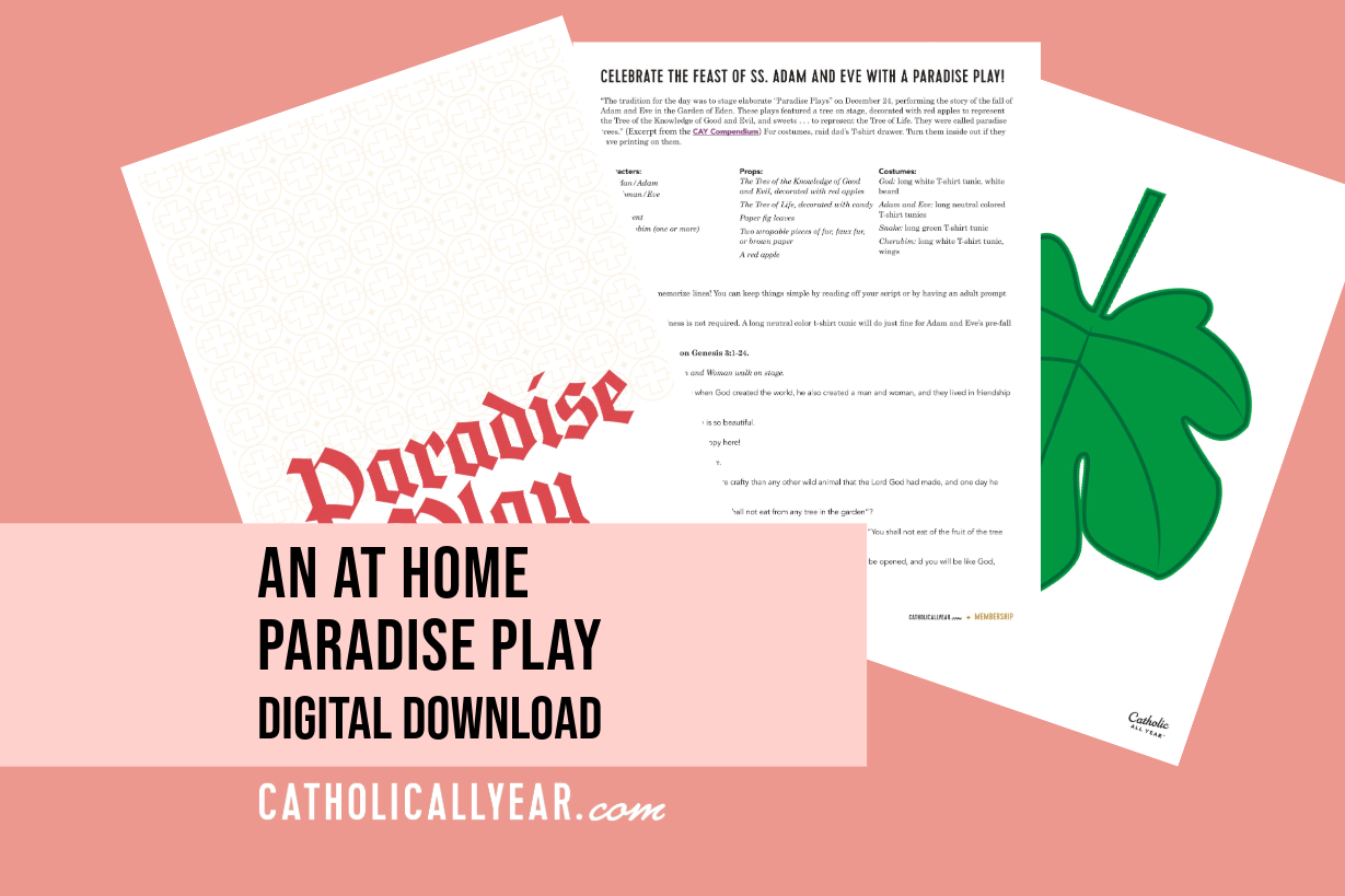 An At Home Paradise Play {Digital Download}