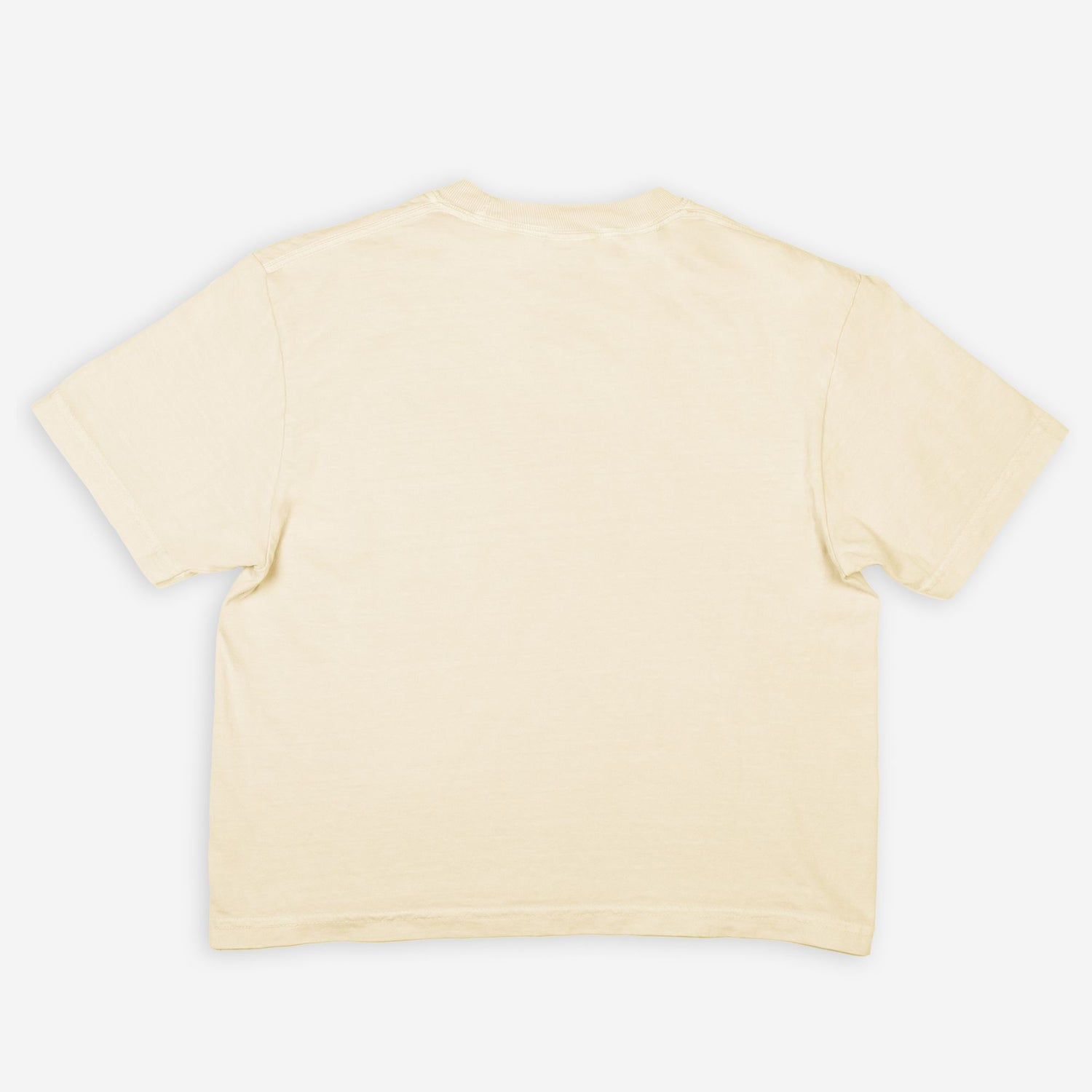 Pelican in Her Piety Boxy Comfort Tee